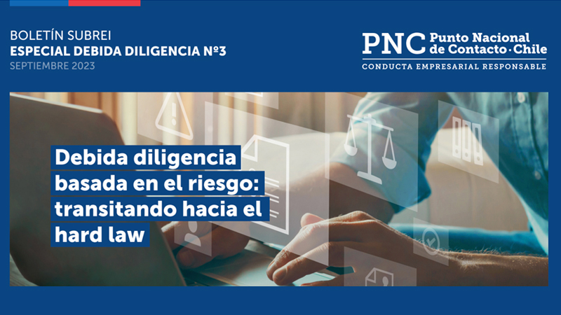 boletin-debidadiligencia