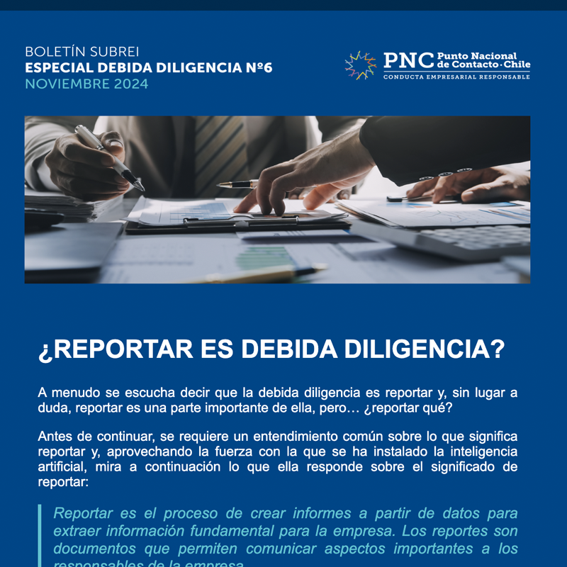 boletin-debidadiligenciac boletin-debidadiligenciac