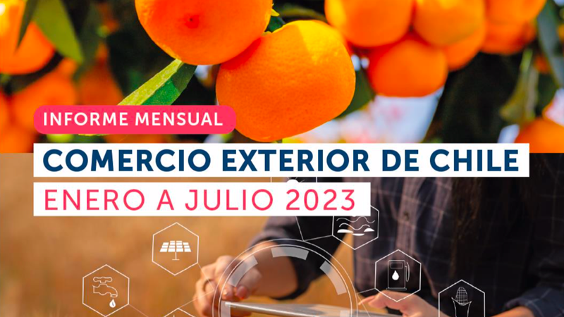 informe-comercial