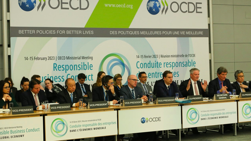 ocde1cumbreminist