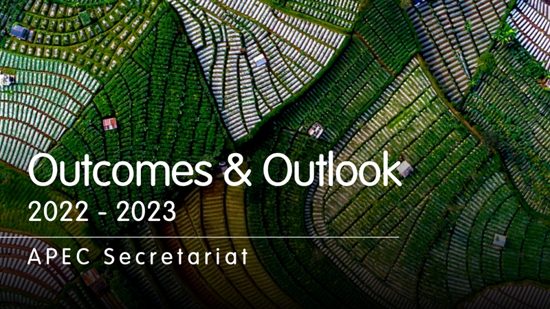 resultadosyperspectivas2022